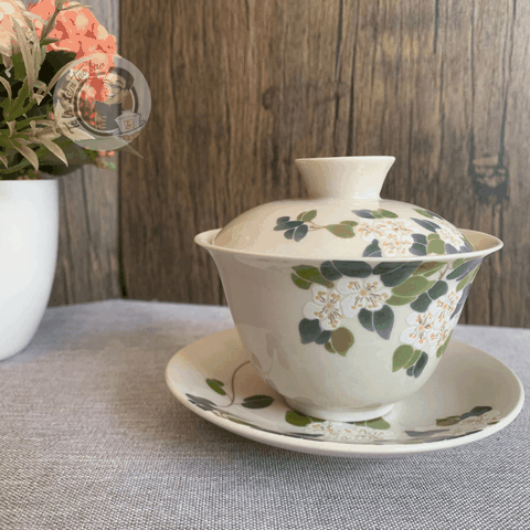 Khải trắng lá xanh