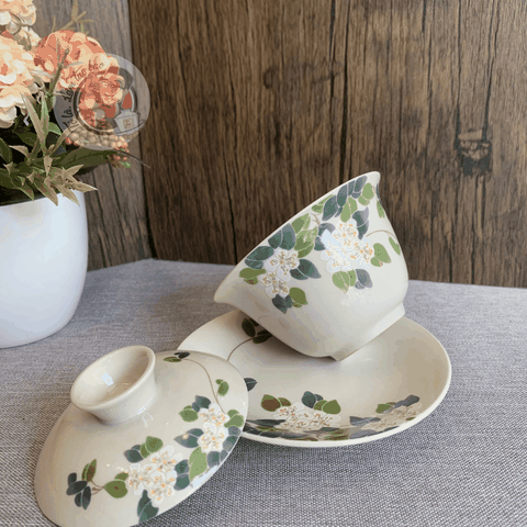 Khải trắng lá xanh