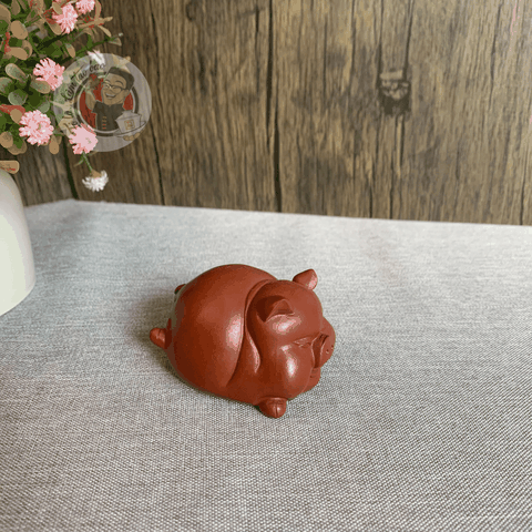 Pet tử sa lợn bay