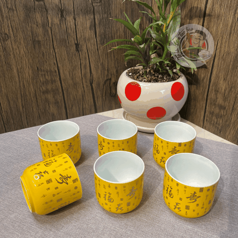 Bộ Chén Sứ Mã 10