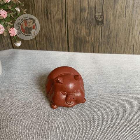 Pet tử sa lợn bay