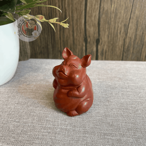 Pet Lợn Đứng Tử Sa