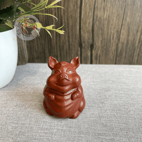 Pet Lợn Đứng Tử Sa