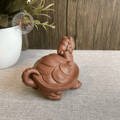 Pet Long quy tử sa