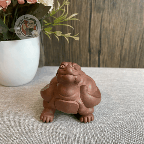 Pet Long quy tử sa