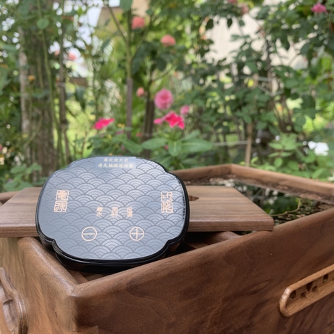 Bếp Hồng ngoại H001