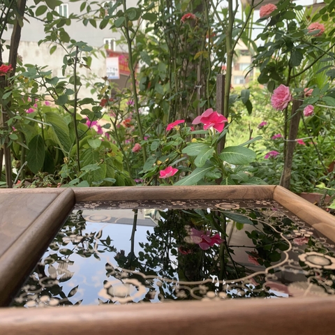 Bếp Hồng ngoại H001