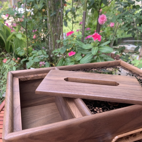 Bếp Hồng ngoại H001