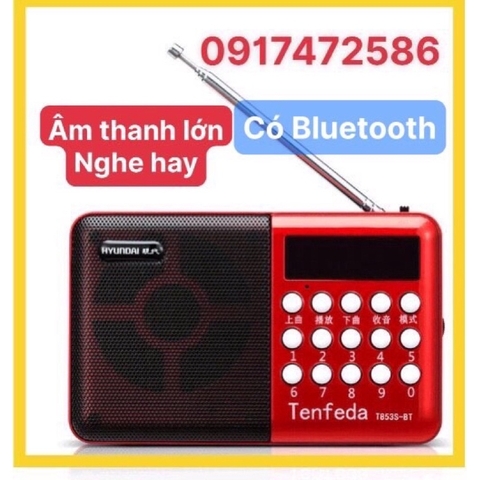 LOA THẺ NHỚ T853 , CÓ BLUETOOTH CÓ FM CÓ ĂNGTEN