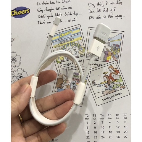 Dây Cáp Sạc iPhone chân cắm Lightning - loại bịt đầu có 7ic