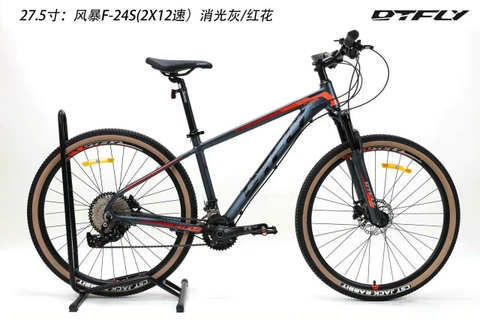 DTFLY FX-24s