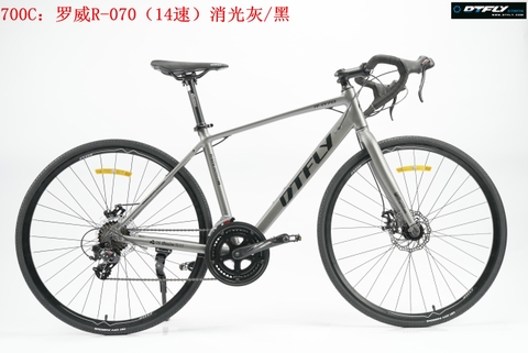 DTFLY R-070 (2024)