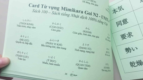 FLASHCARD MIMIKARA OBOERU N2 TỪ VỰNG