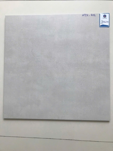 Gạch lát Viglacera 60x60 ATP1-601