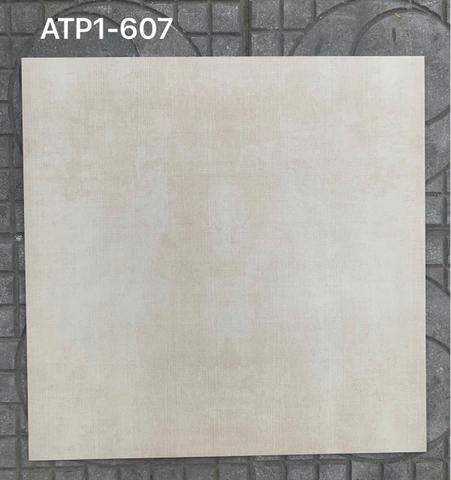 Gạch lát Viglacera 60x60 ATP1-607