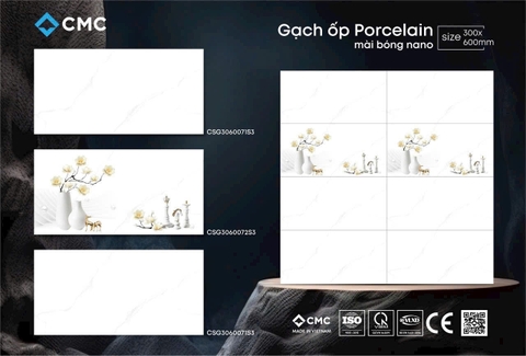 Gạch ốp CMC 30x60 CSG3060071