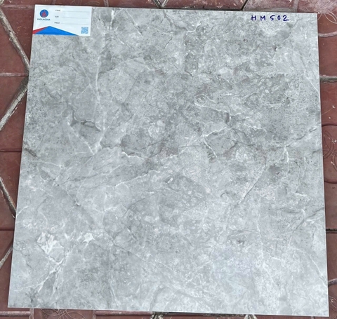 Gạch ốp lát Viglacera 50x50 HM502