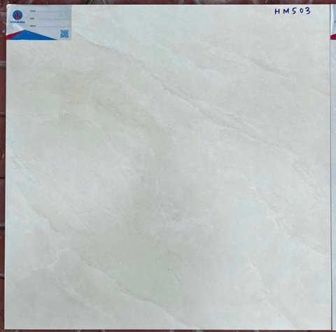 Gạch ốp lát Viglacera 50x50 HM503