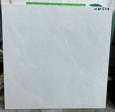 Gạch ốp lát Viglacera 50x50 HM504
