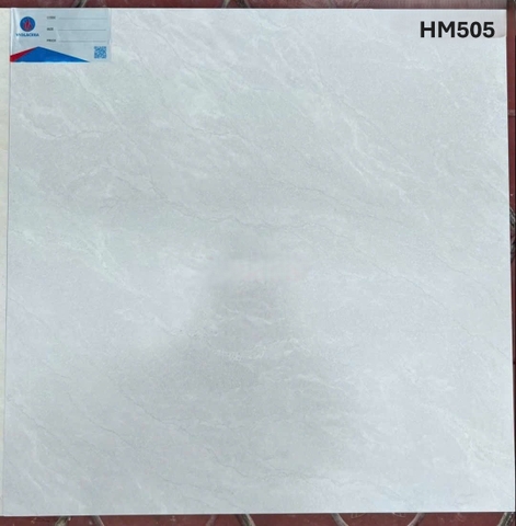 Gạch ốp lát Viglacera 50x50 HM505