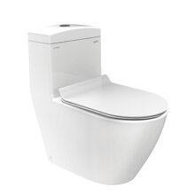 Bồn cầu Viglacera platinum P 11.350