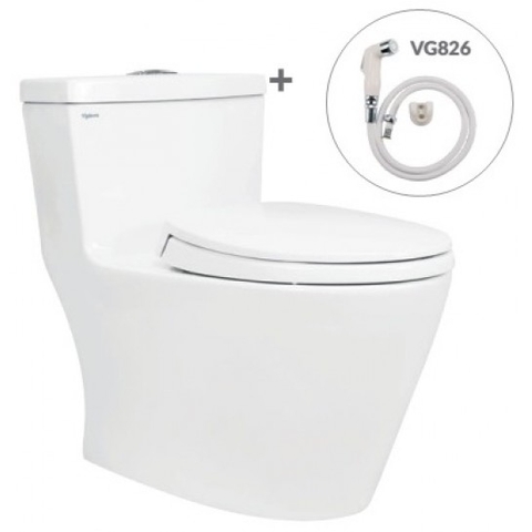 Bồn cầu Viglacera V62