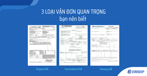 3 loại vận đơn quan trọng trong vận chuyển đường biển