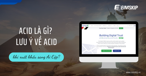 ACID là gì? Quy Trình Khai Báo Thông tỷ lệ kèo tv Hàng Hóa Khi Xuất Khẩu Sang Ai Cập