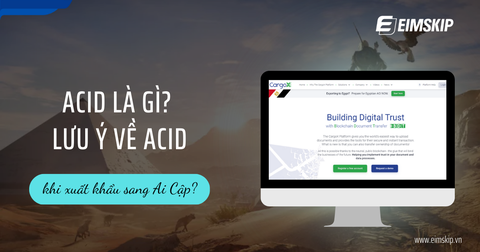 ACID là gì? Lưu ý ACID khi xuất khẩu sang Ai Cập