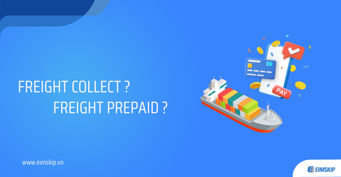 Freight collect là gì? Freight prepaid là gì? Khác nhau ra sao?