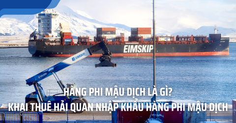 Hàng phi mậu dịch là gì?