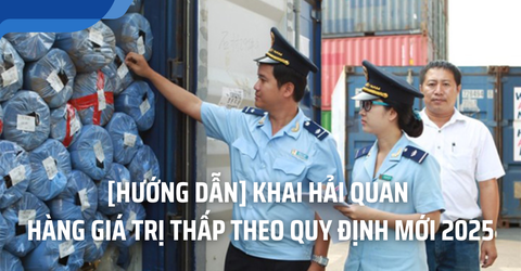 [HƯỚNG DẪN] Khai hải quan hàng giá trị thấp theo quy định mới 2025
