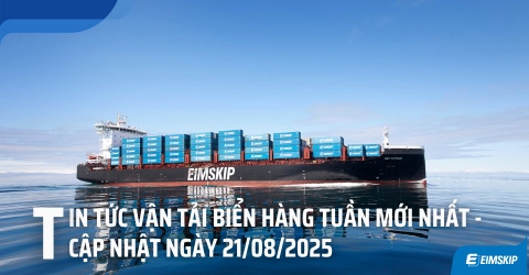Tin tức cước vận tải biển 21/8/2025