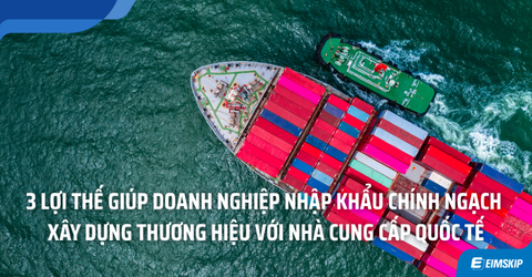3 Lợi Thế Giúp Doanh Nghiệp Nhập Khẩu Chính Ngạch Xây Dựng Thương Hiệu Với Nhà Cung Cấp Quốc Tế