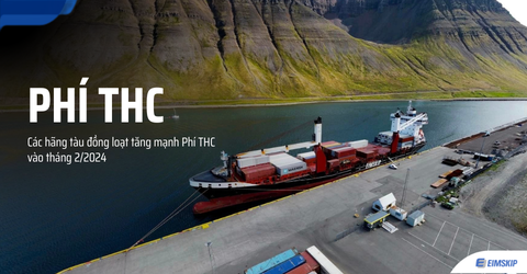 Phí THC là gì? Các hãng tàu đồng loạt tăng mạnh Phí THC vào đầu năm 2024