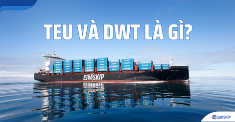 TEU, FEU và DWT là gì? Tại Sao Đều Được Đề Cập Đến Độ Lớn Của Tàu