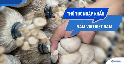 Thủ tục nhập khẩu nấm vào Việt Nam