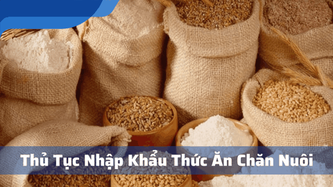 Thủ Tục Nhập xem keo nha cai Thức Ăn Chăn Nuôi - Hướng Dẫn Chi Tiết