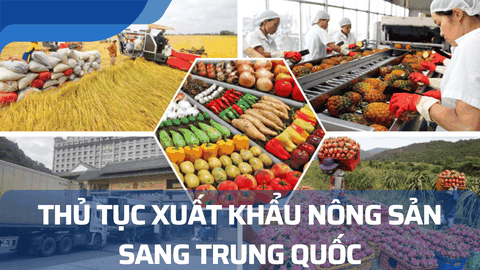Thủ tục xuất khẩu nông sản sang Trung Quốc