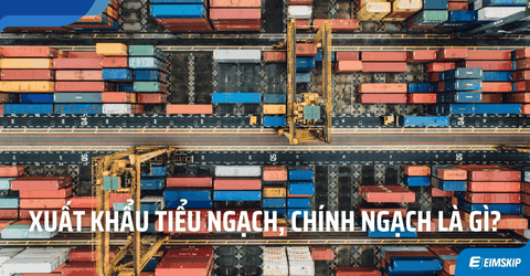 Xuất khẩu tiểu ngạch, chính ngạch là gì? Rủi ro tiềm ẩn của tiểu ngạch cần biết