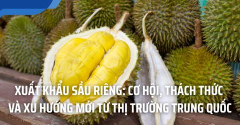 [Cập nhật thị trường] Xuất Khẩu Sầu Riêng: Xu Hướng Mới Từ Thị Trường Trung Quốc