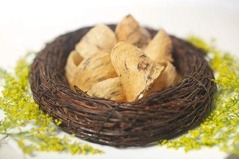 Hướng dẫn bảo quản và sơ chế tổ yến