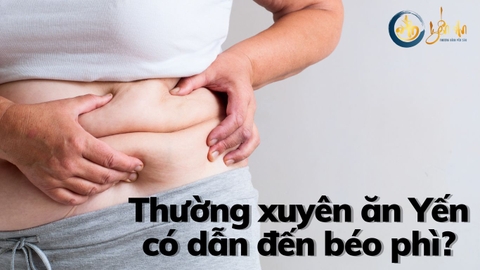 Thường xuyên ăn Yến có dẫn đến béo phì, thừa chất không?