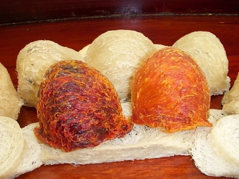 Tổ yến thật và nguyên chất - Nguồn dinh dưỡng quý giá