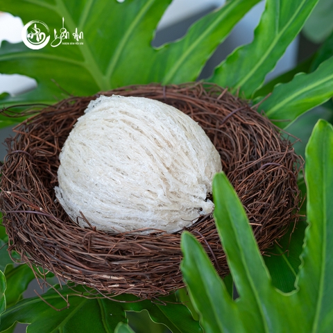 [Yến An Tặng Đường] - Yến tinh chế đặc biệt VIP loại 100g tặng Đường thốt nốt 150g