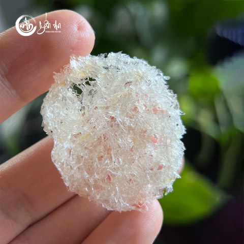 [Yến An Tặng Đường] - Yến Tinh Chế - Xơ Mướp Viên loại 100g tặng Đường thốt nốt 150g