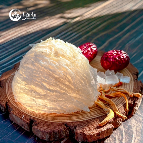 [Yến An Tặng Đường] - Yến tinh chế đặc biệt VIP loại 100g tặng Đường thốt nốt 150g