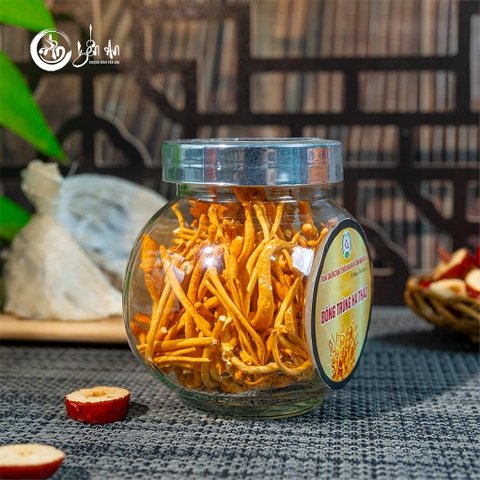 [Yến An] - Đông Trùng Hạ Thảo