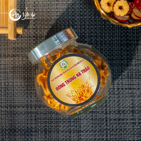 [Yến An] - Đông Trùng Hạ Thảo