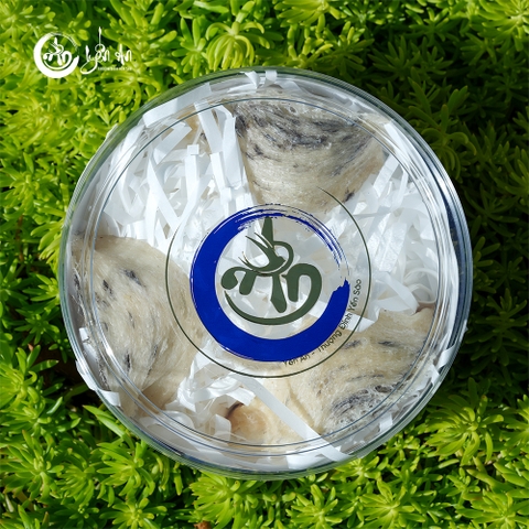 [Yến An] - Yến Tổ Thô